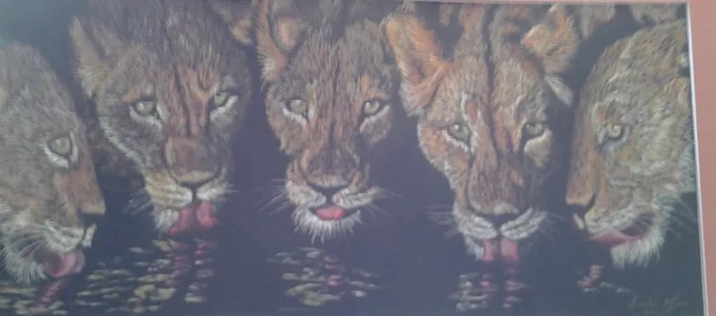 Lioness Reflection