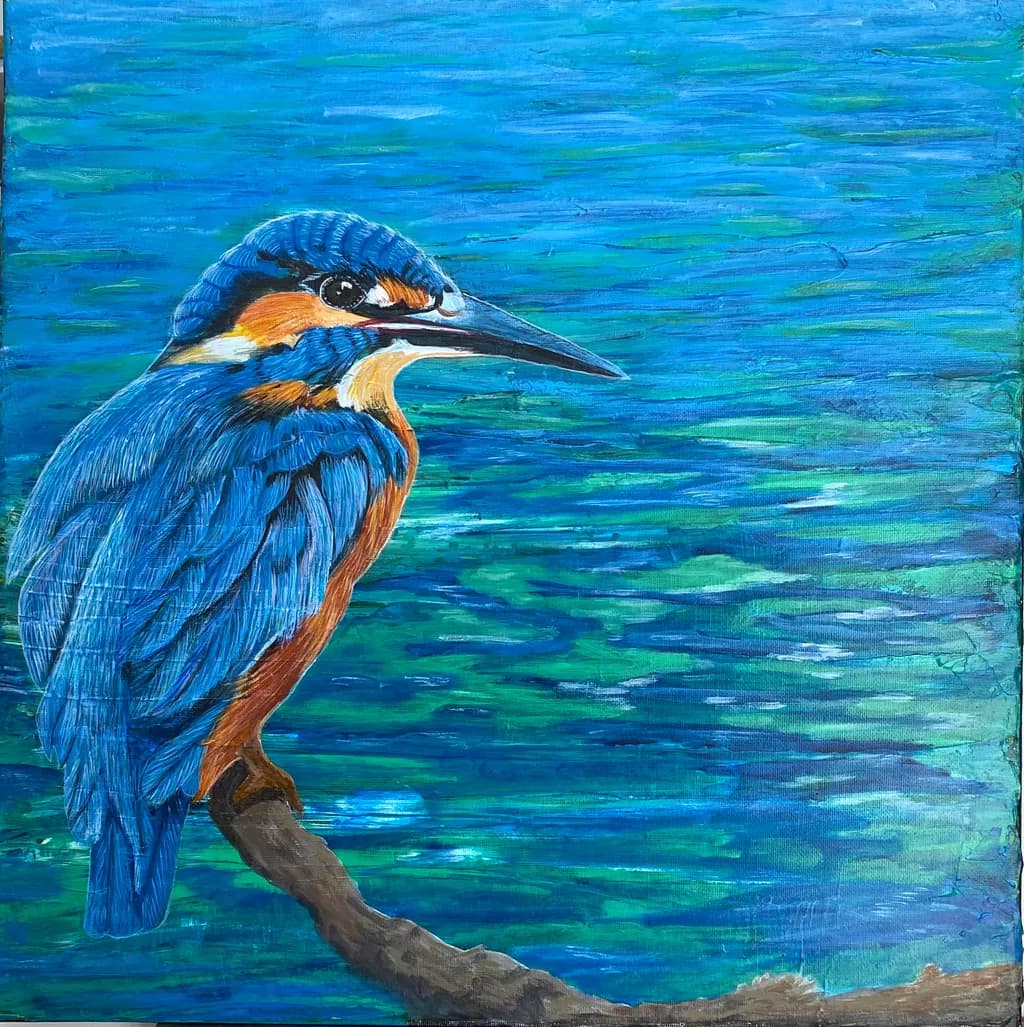 Kingfisher Reflection