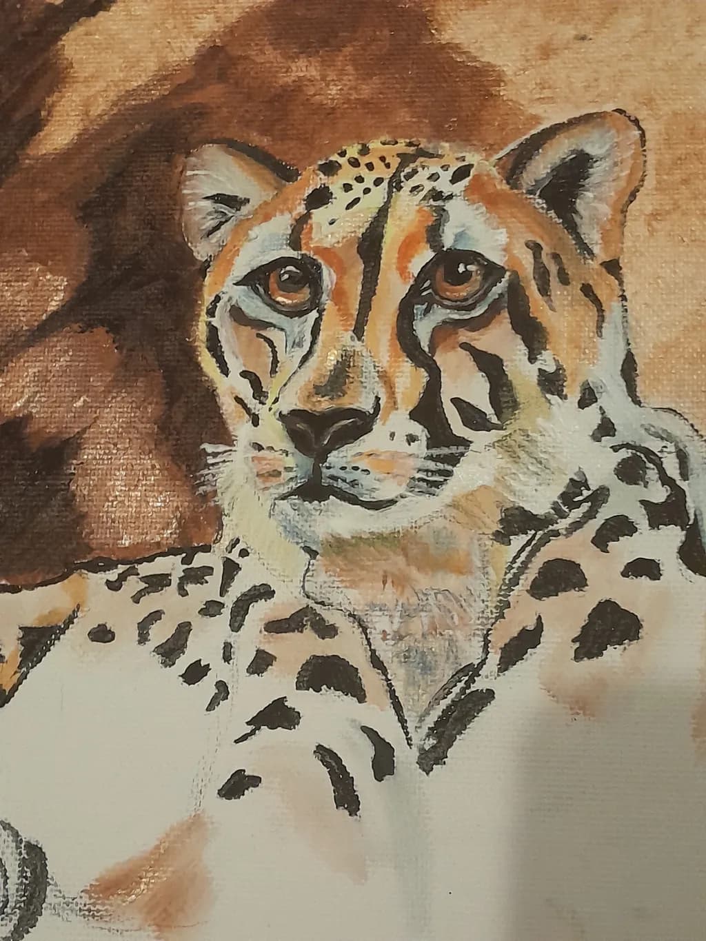 Steely Gaze