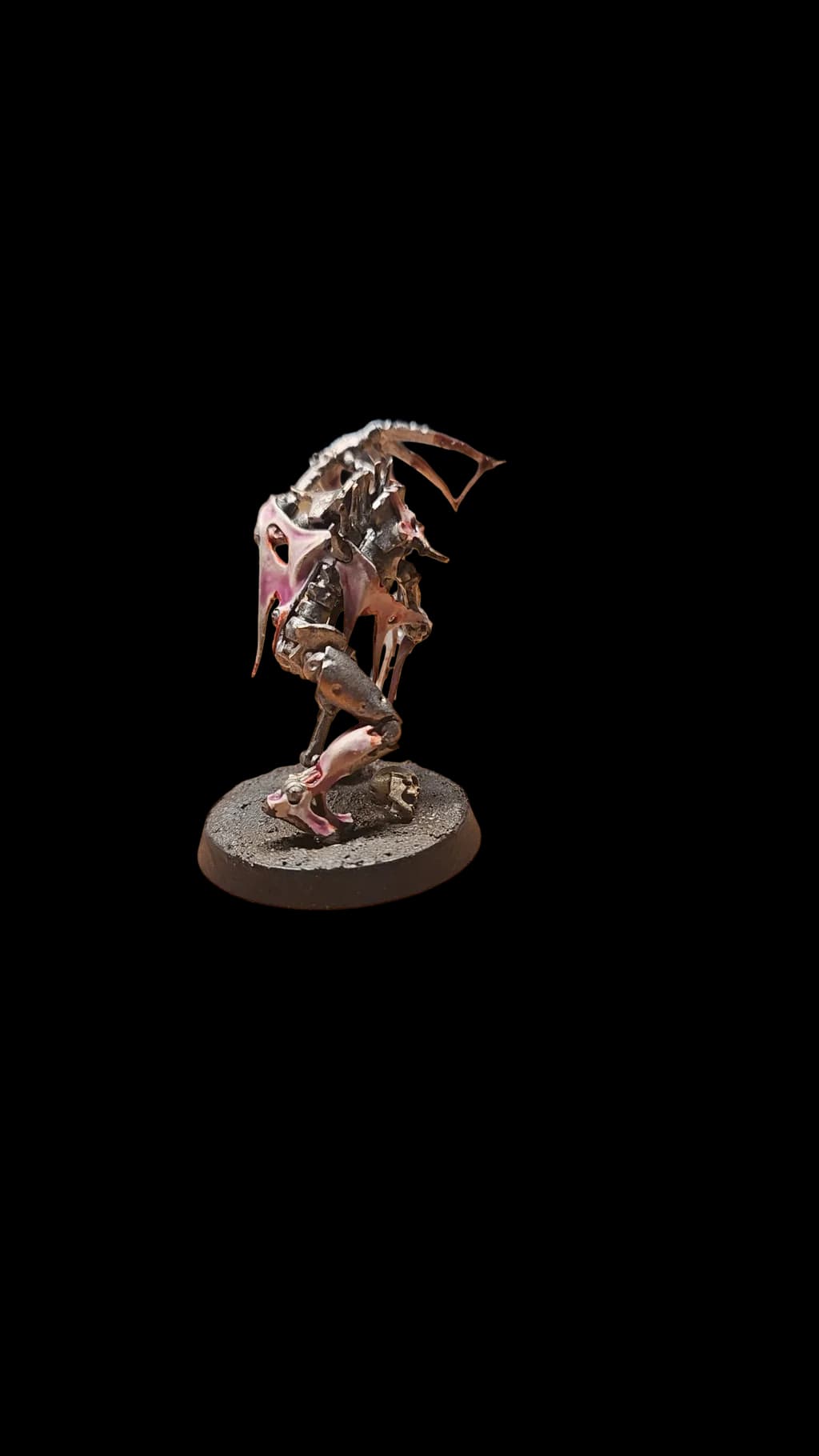 Wraithborn Vanguard