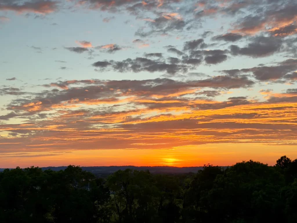 Golden Horizon
