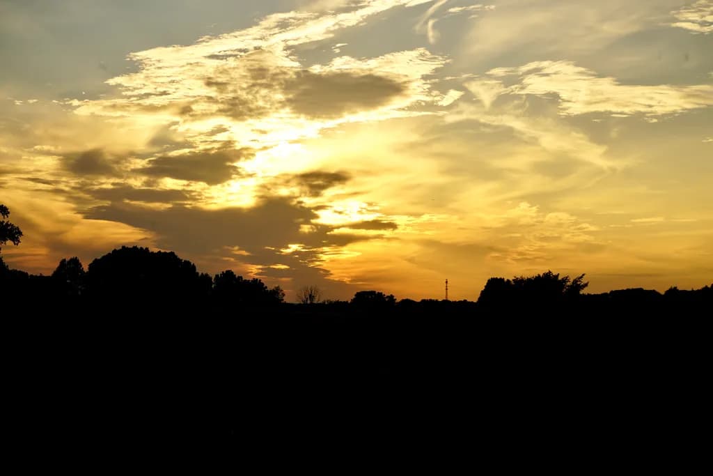 Golden Horizon