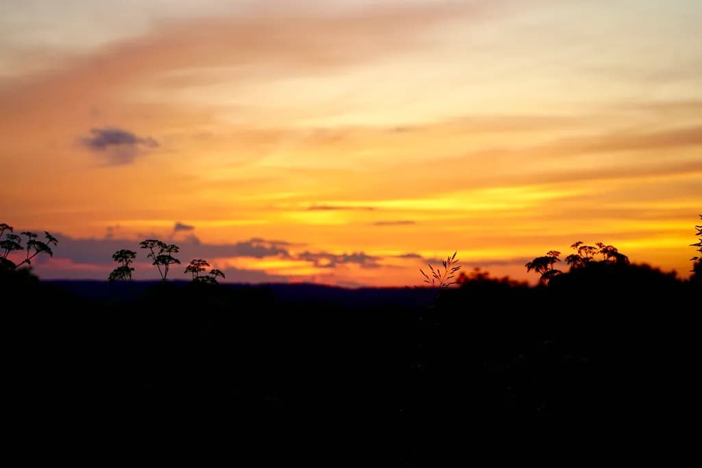 Dusky Horizon