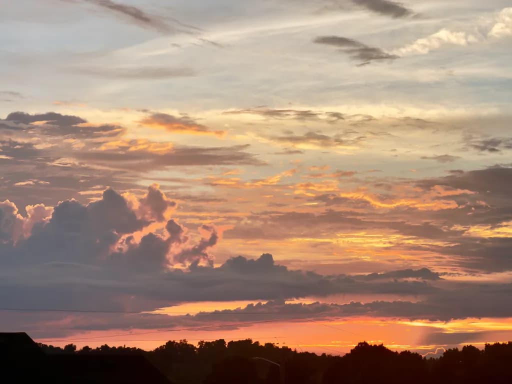 Amber Horizon