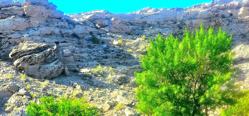 Desert Contrast