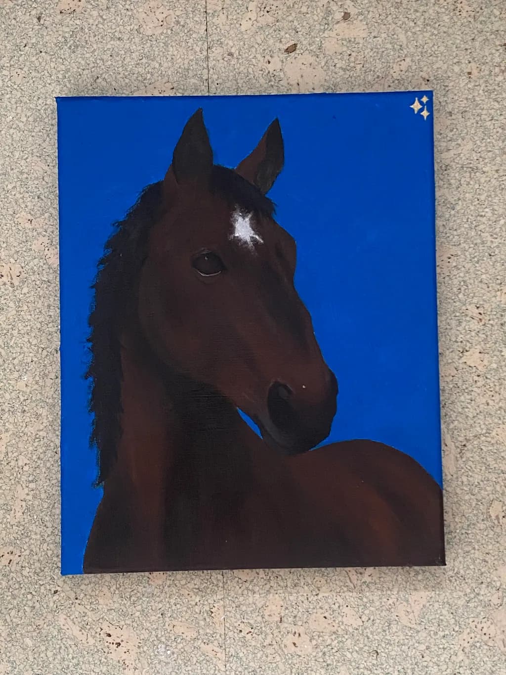 Star Marked Stallion