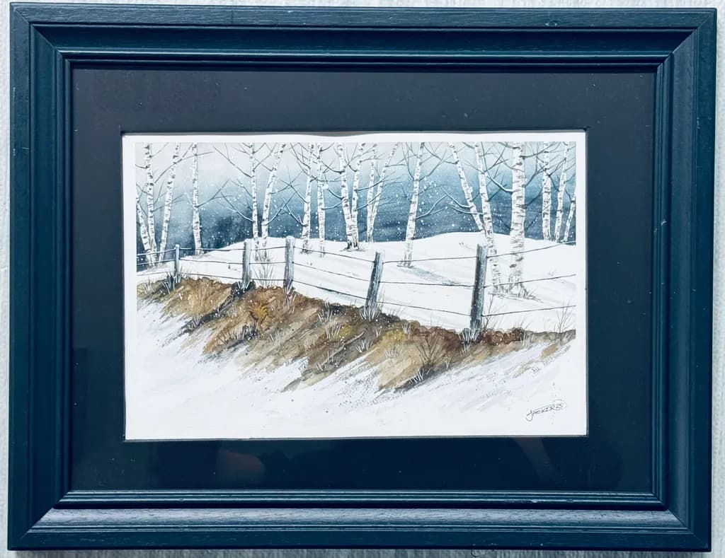 Birch Fence Winter