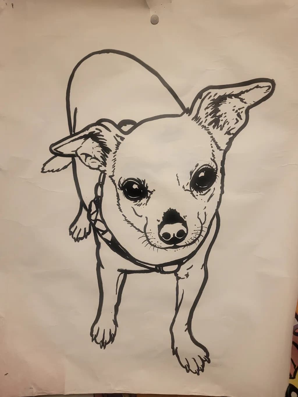 Chihuahua Portrait