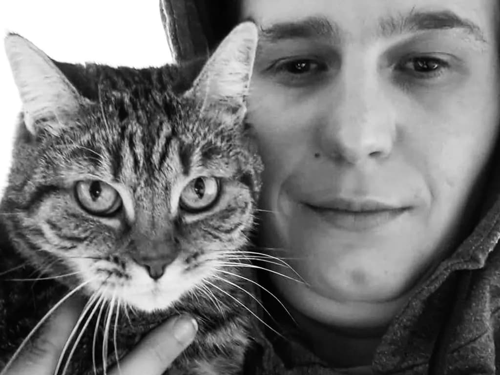 Cat Close-Up Portrait