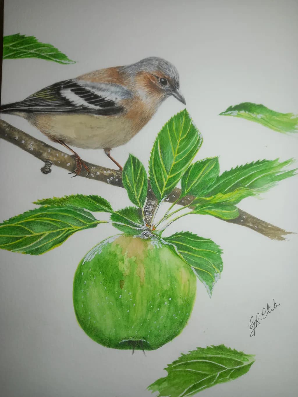 Green Apple Watcher