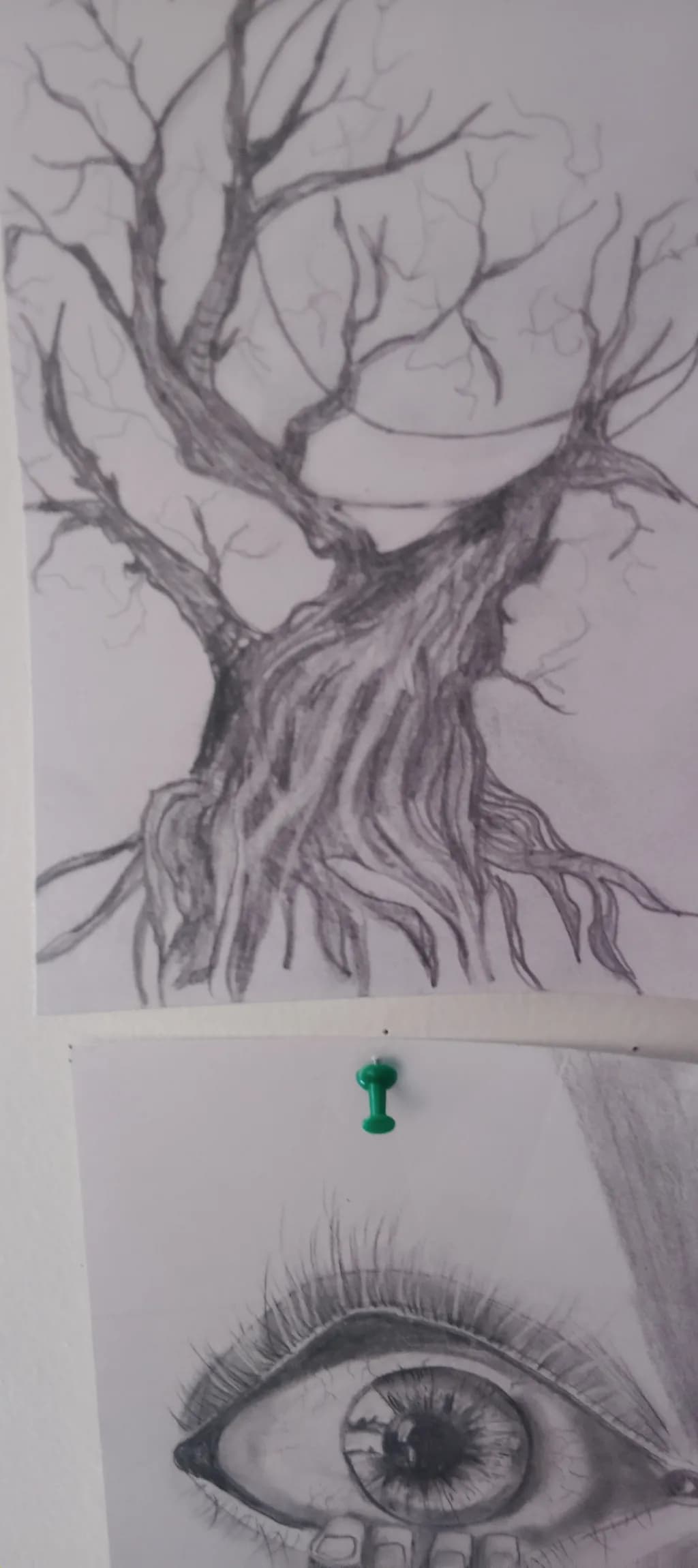 Twisted Roots