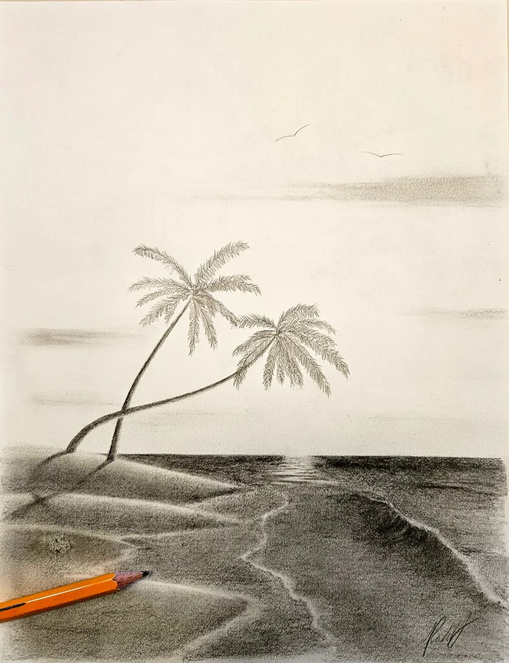 Tropical Shadows