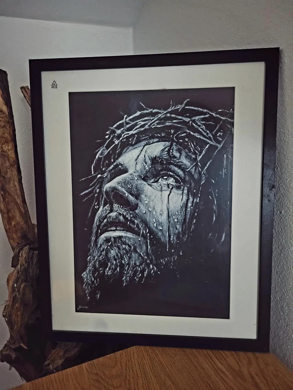 Crown of Thorns