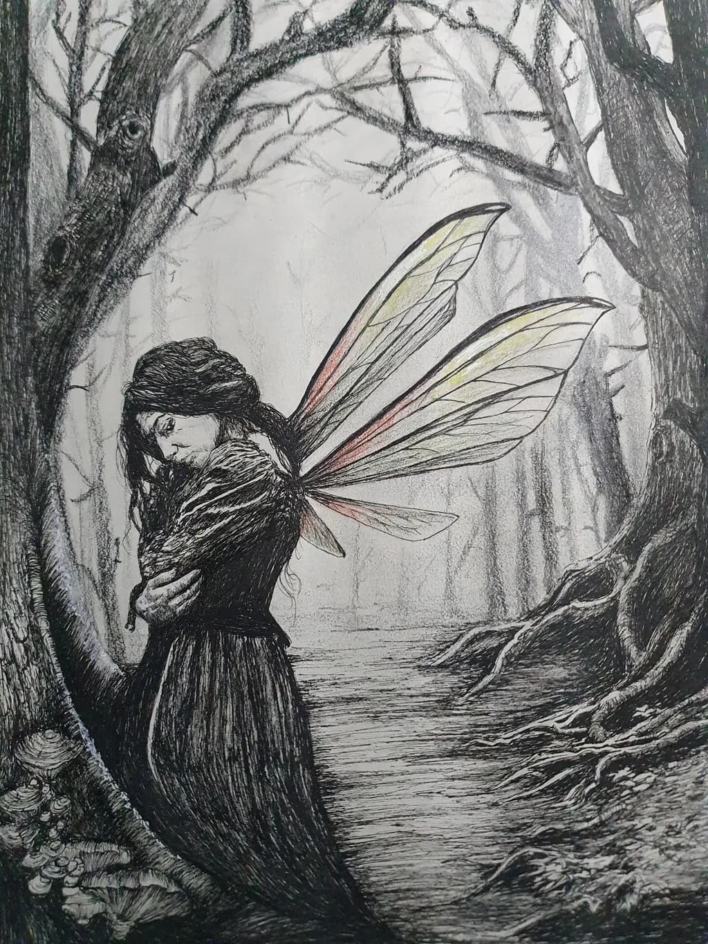 Wings of Solitude