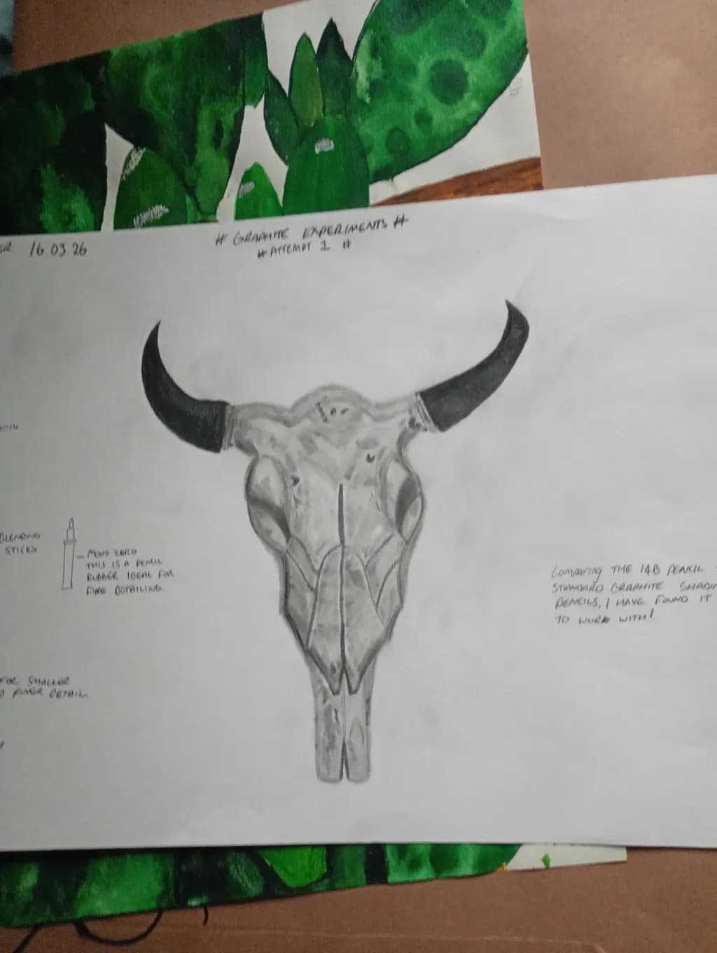 Horned Skull Study