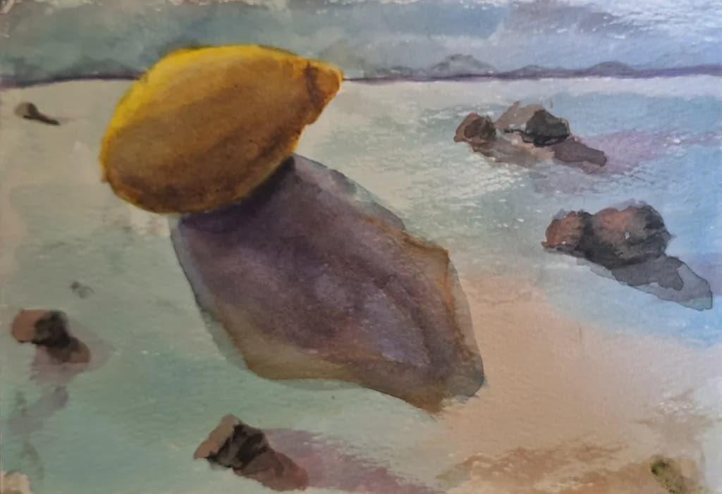 Yellow Shell on Shore