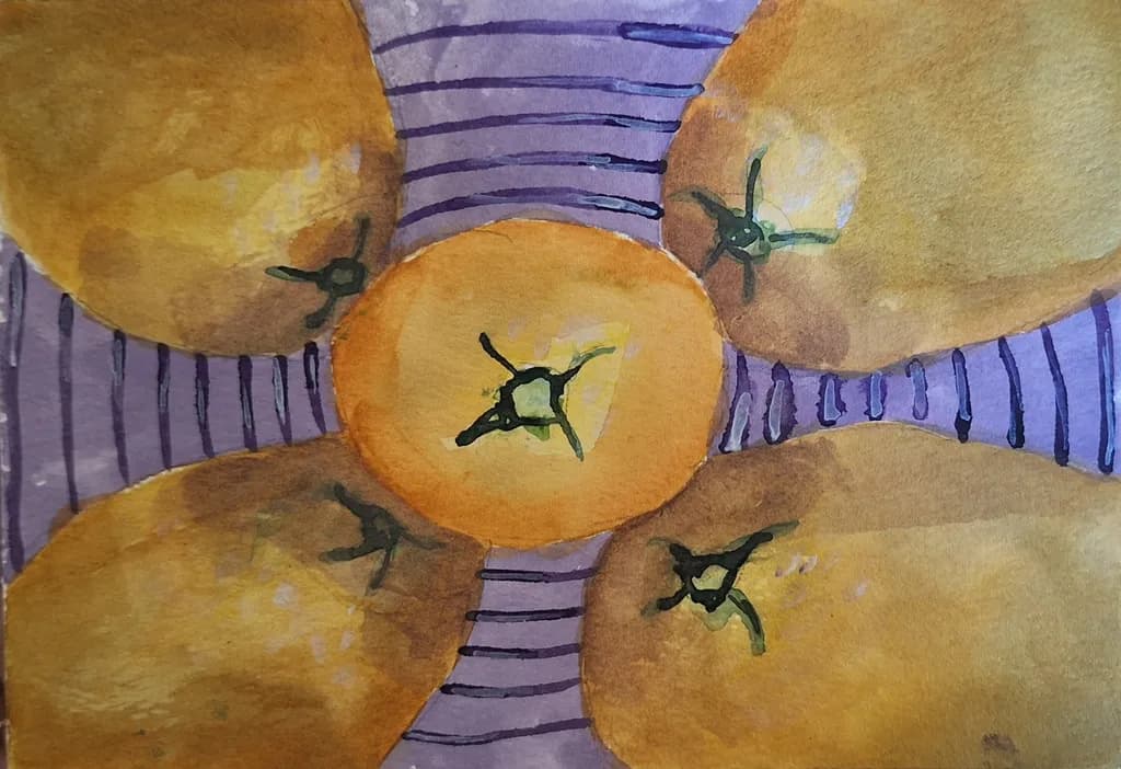 Five Kiwis Perspective