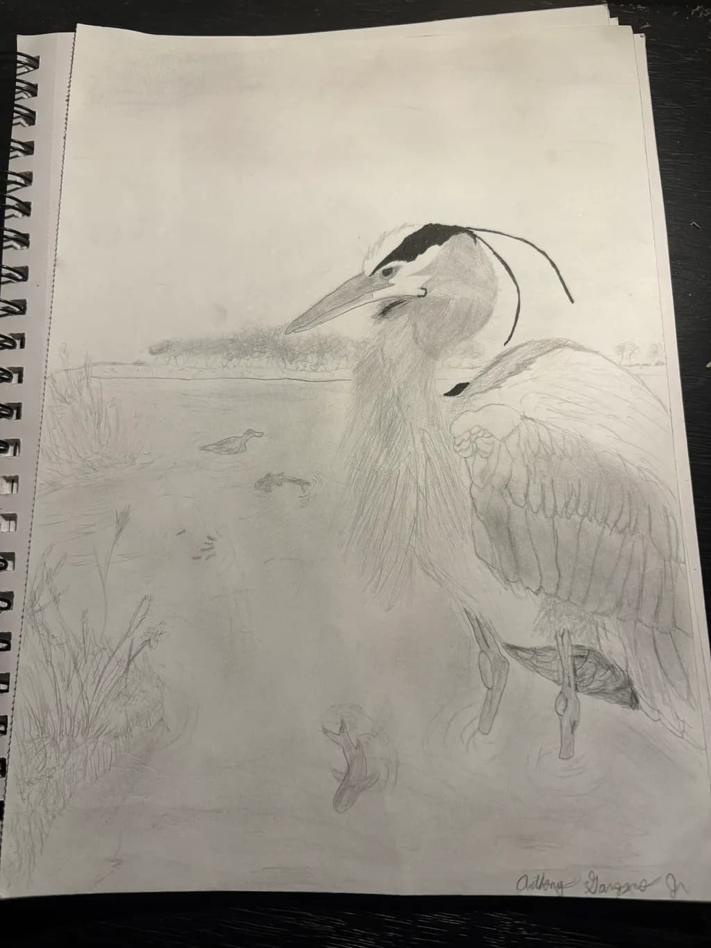 Silent Watcher