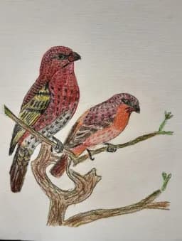  Companions in the Quiet