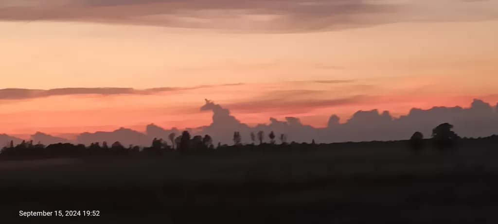 Twilight Silhouettes