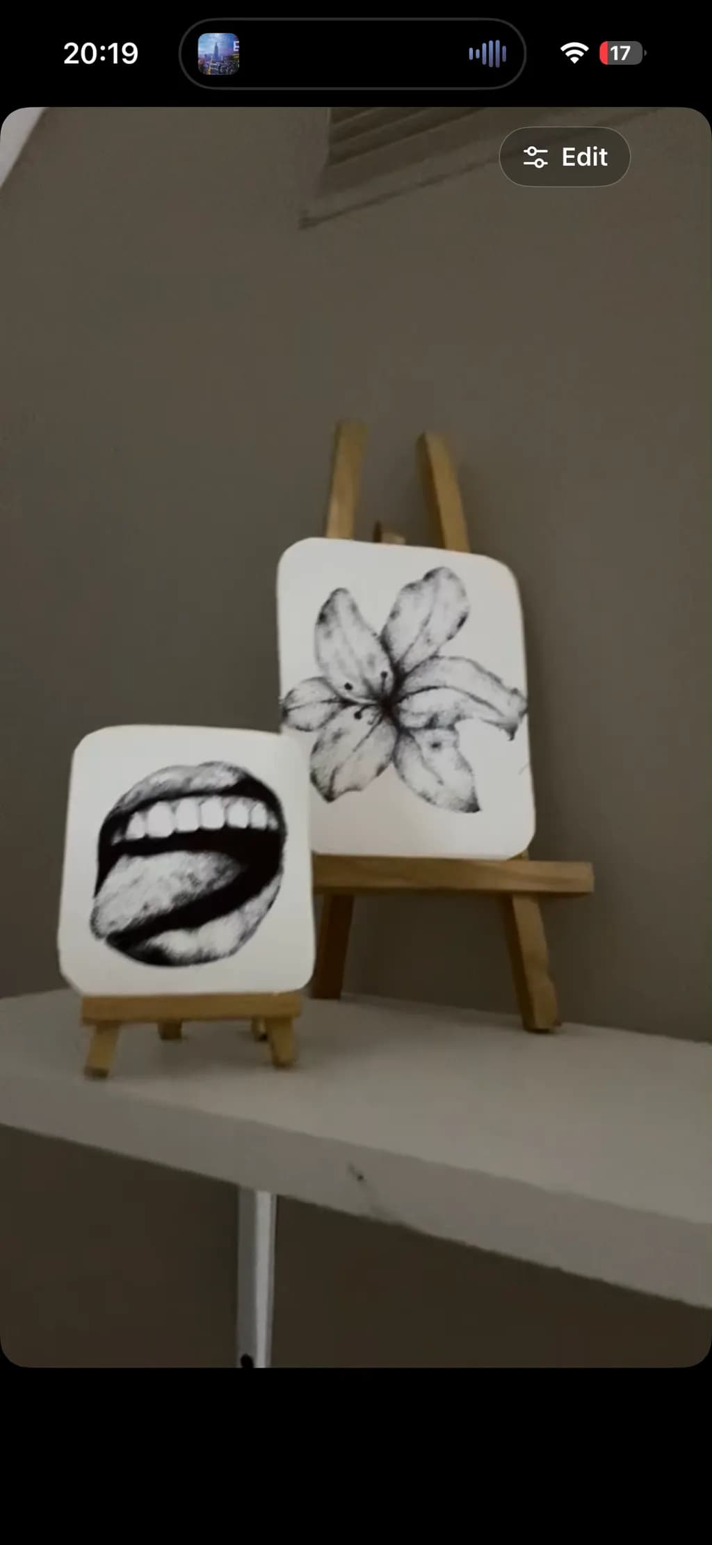 Bloom and Bite