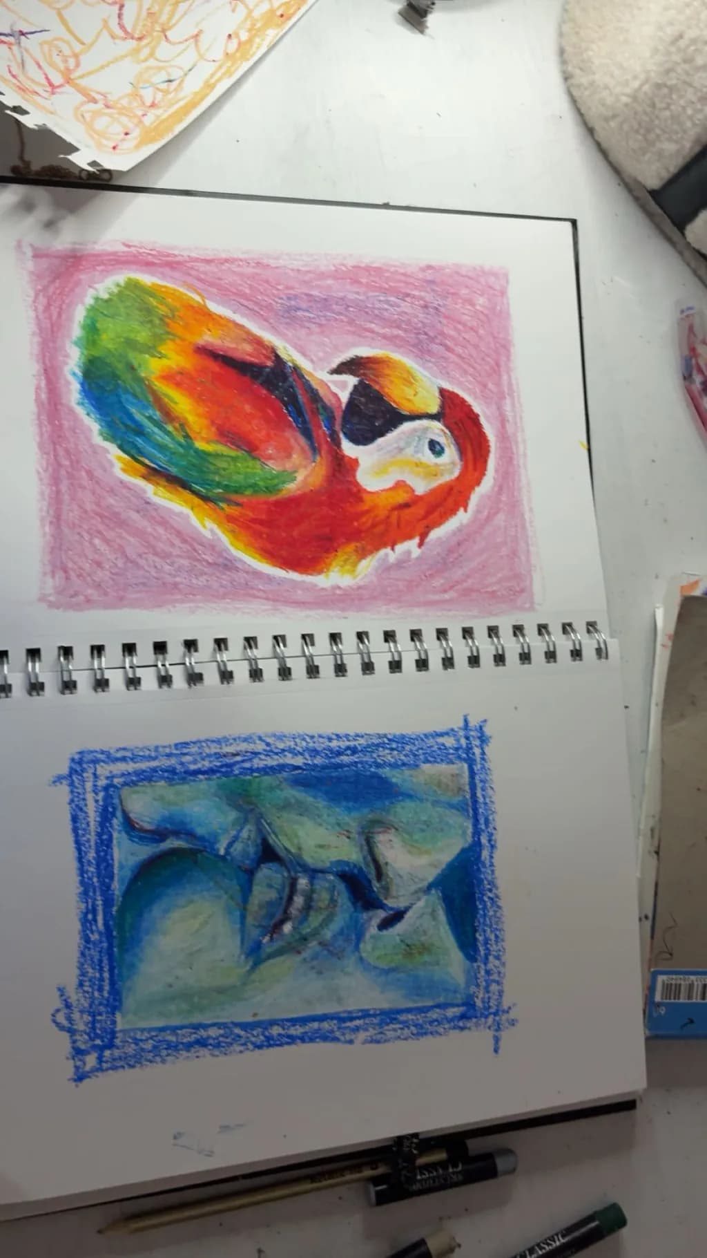 Colorful Parrot Sketch