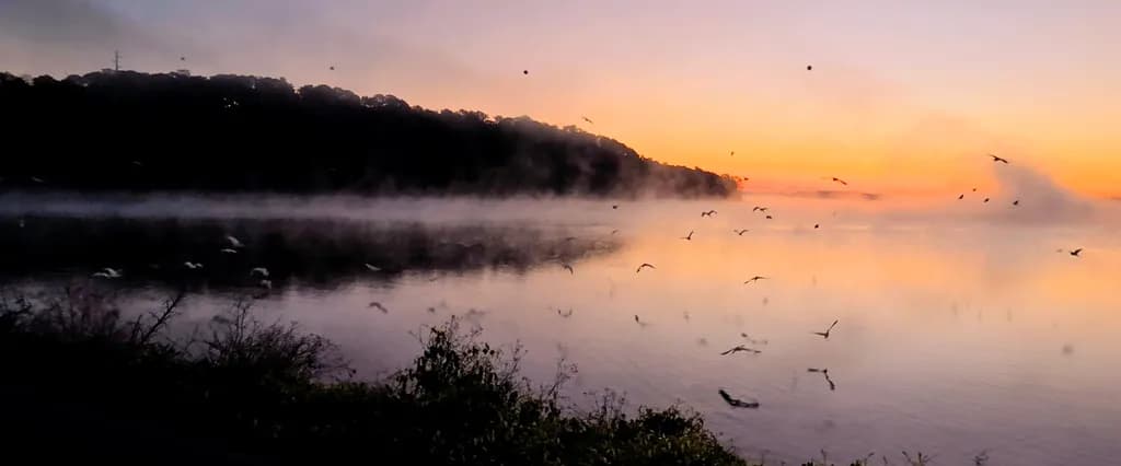 Misty Lake Sunset