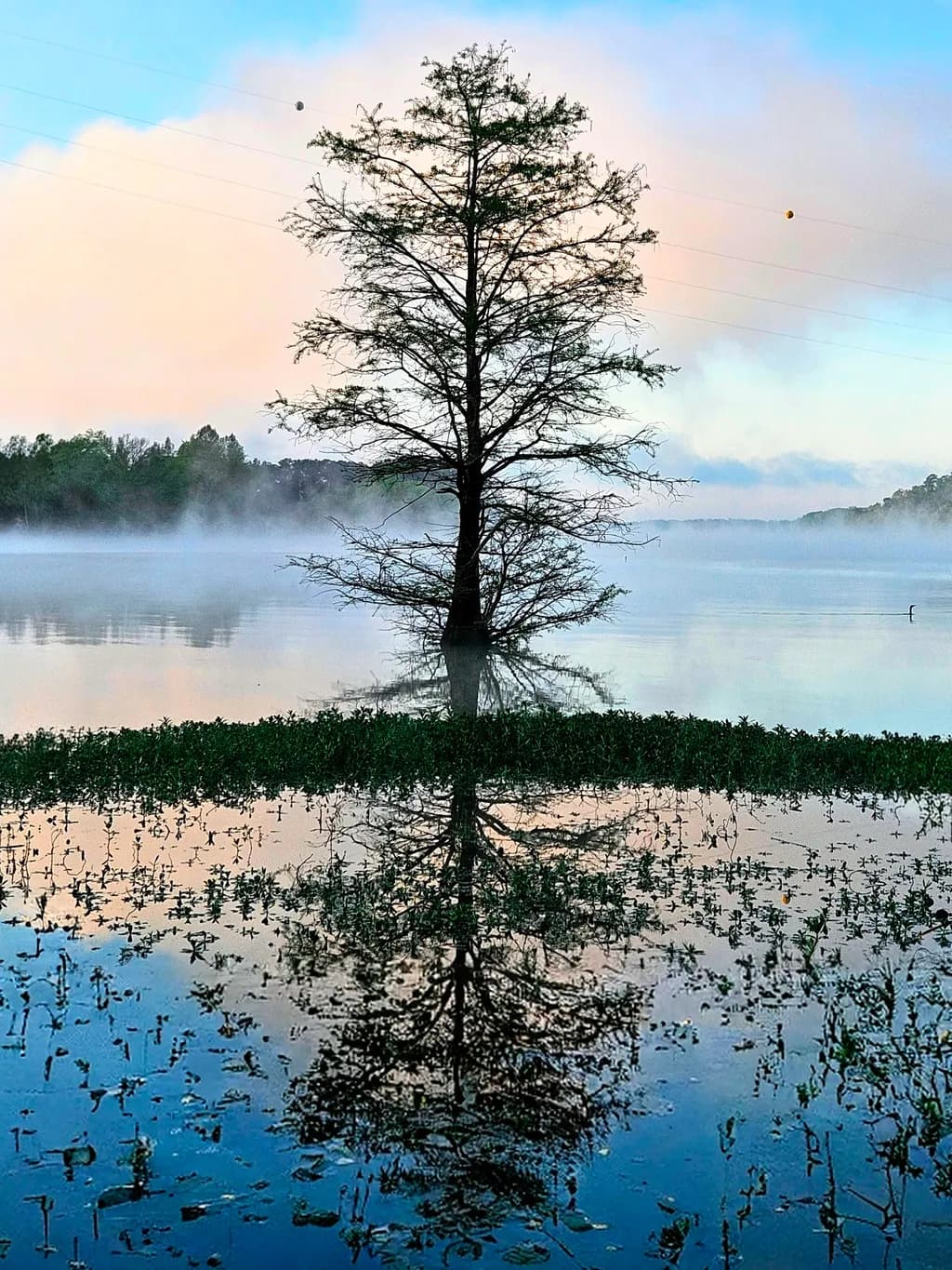 Misty Reflection