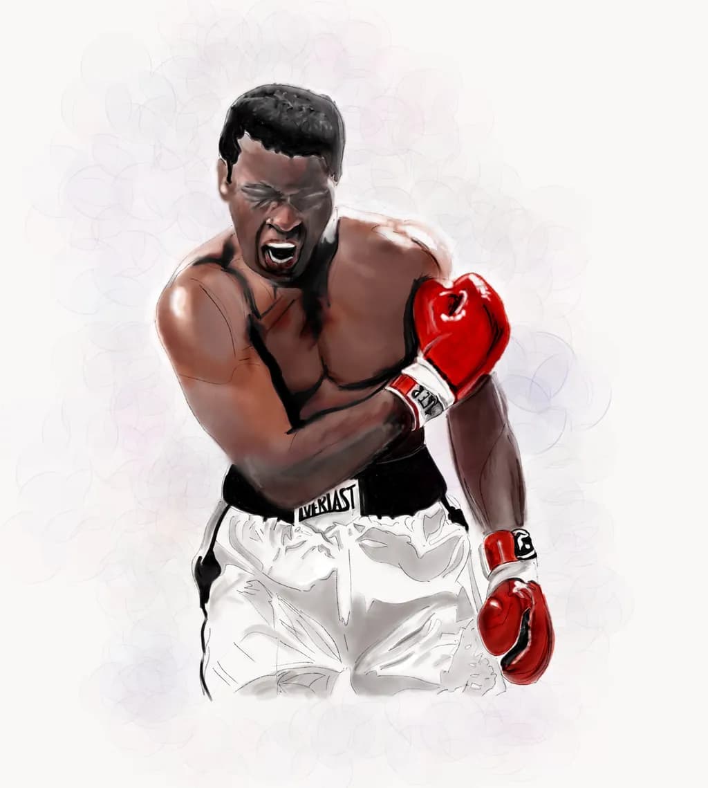 Boxer’s Resolve