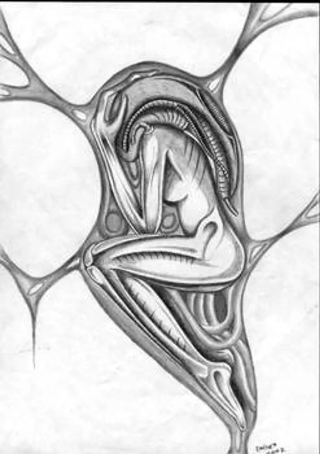 Bio Form