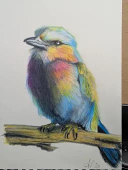 Colorful Perch