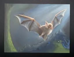 Moonlit Flight