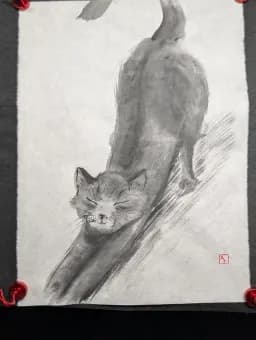 Long Cat Stretch