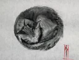 Cat Nap in Charcoal