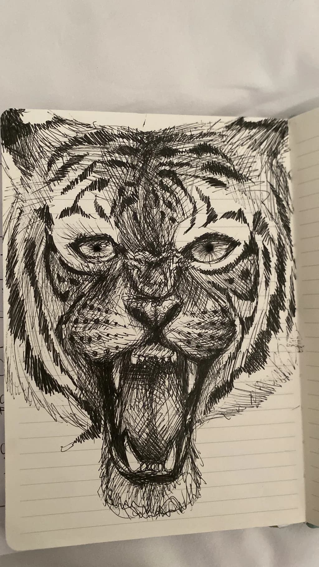 Roaring Gaze