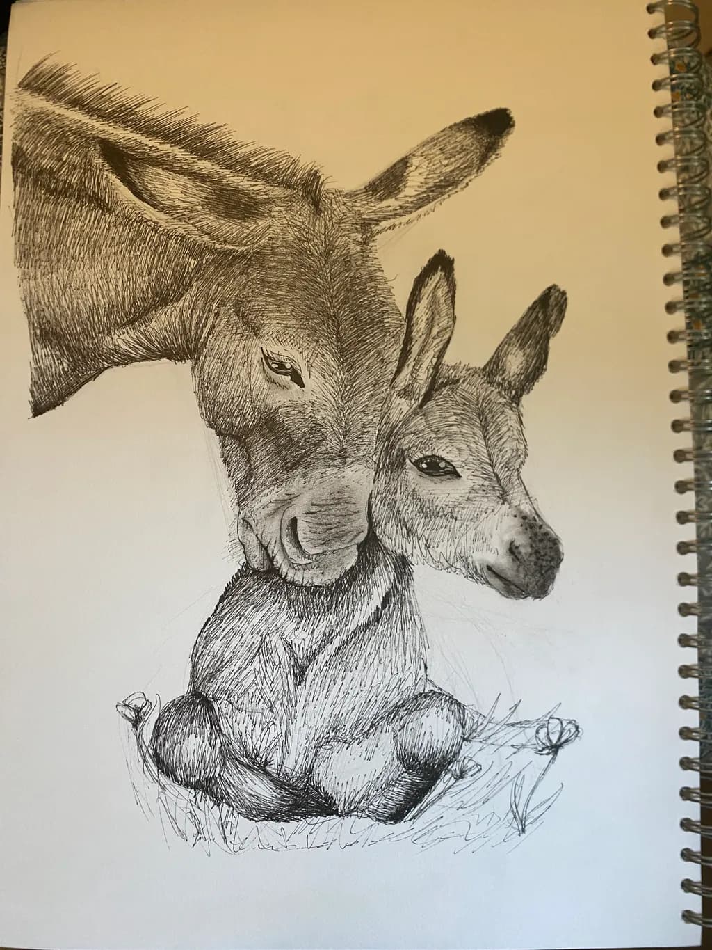 Donkey Embrace