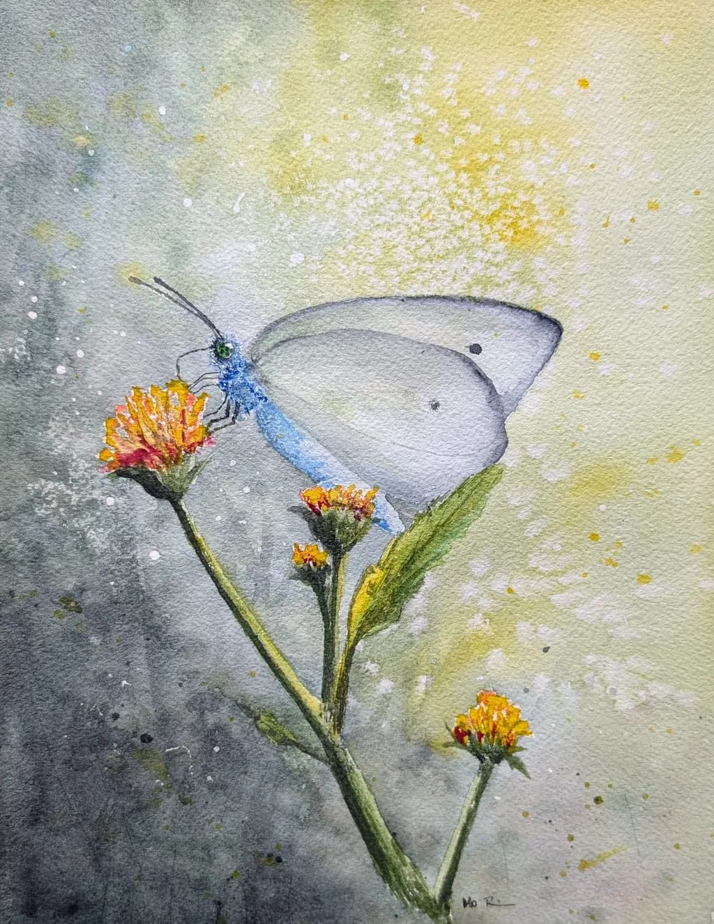 Quiet Butterfly