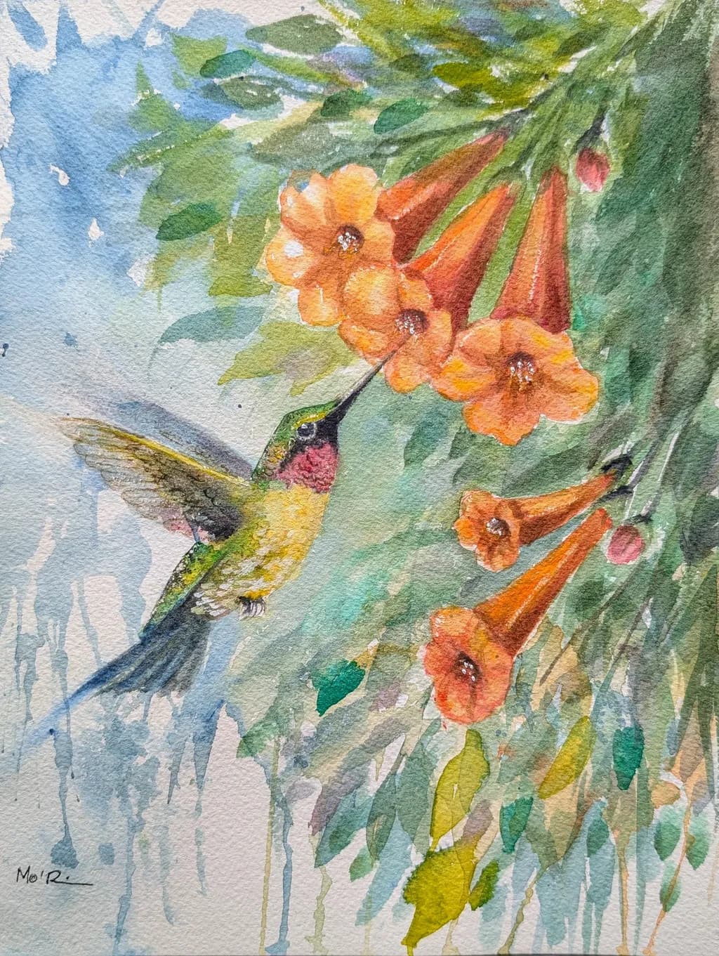Hummingbird Nectar