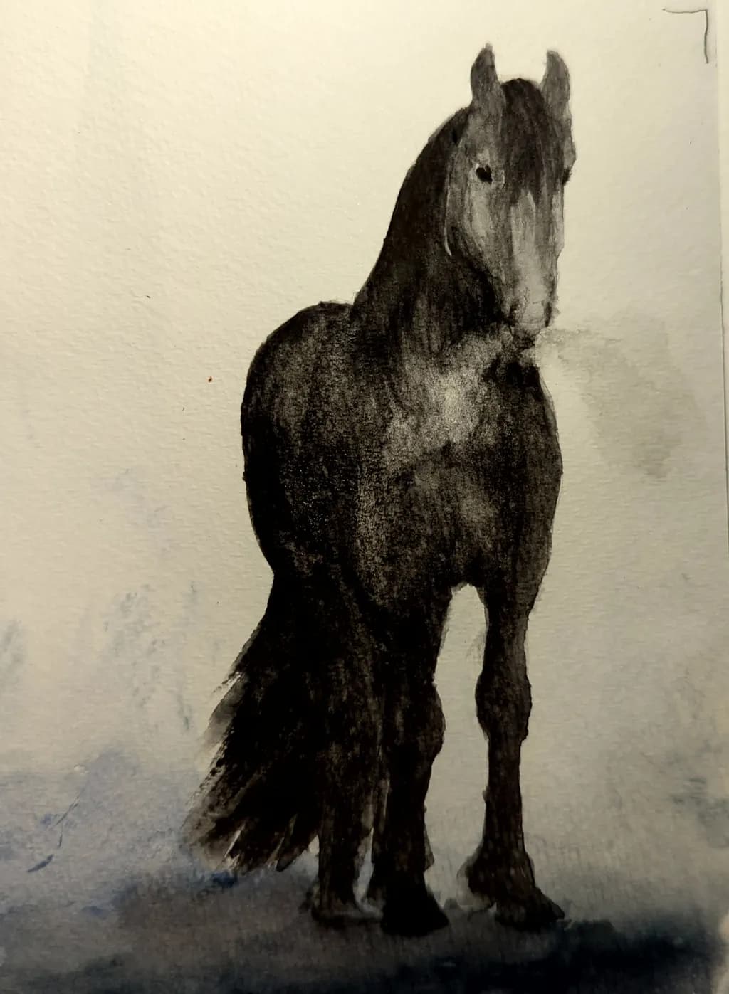 Shadow Stallion