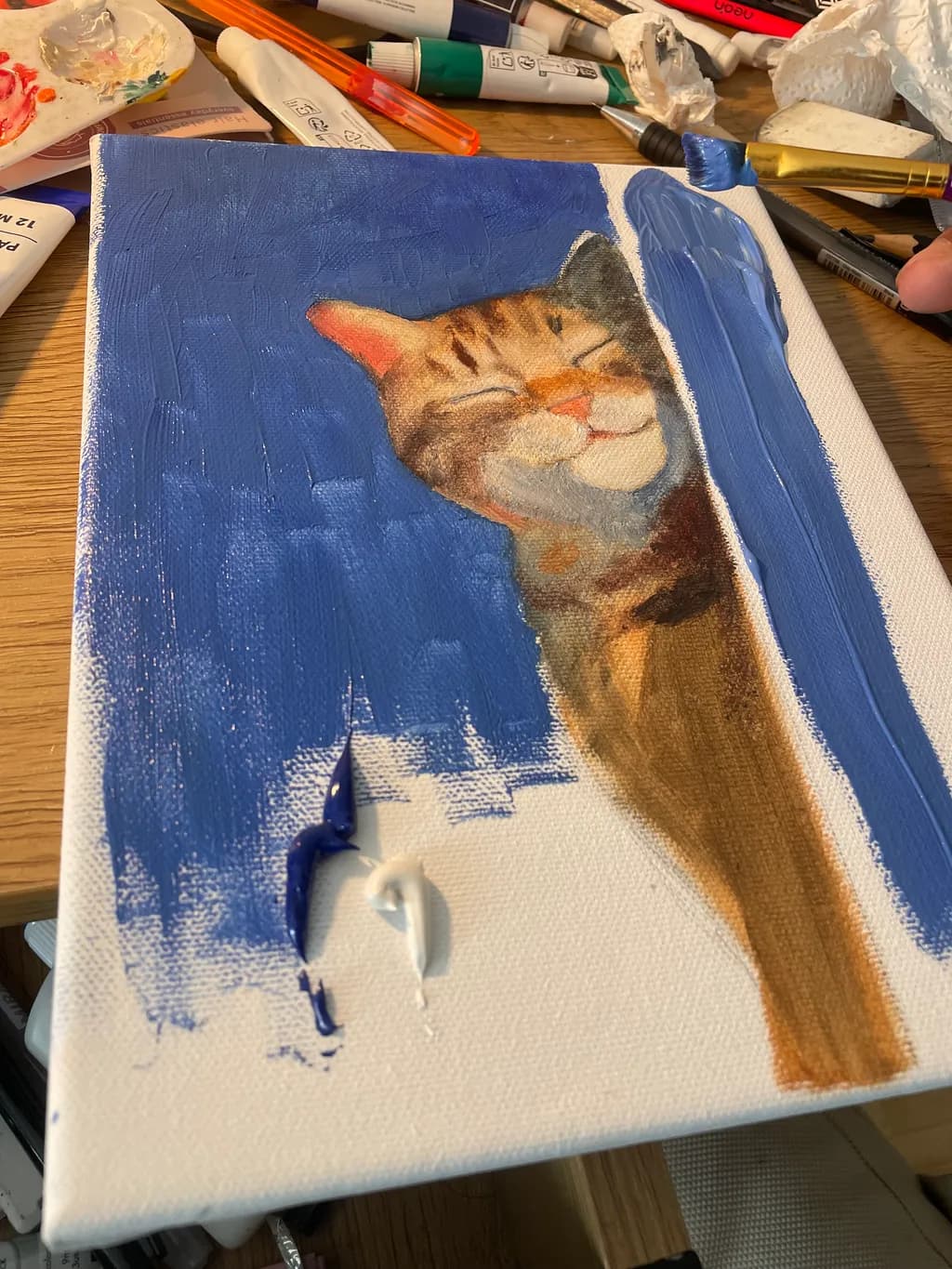 Contented Tabby
