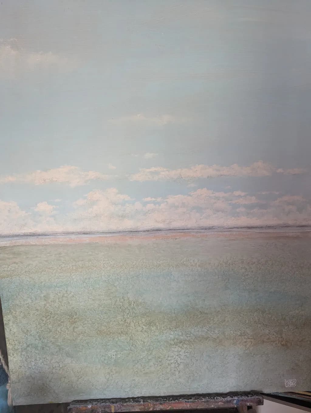 Soft Horizon