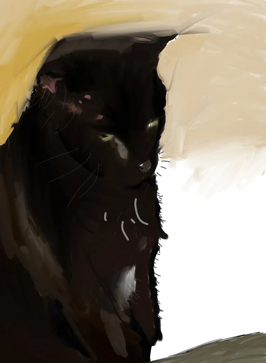 Shadowed Gaze