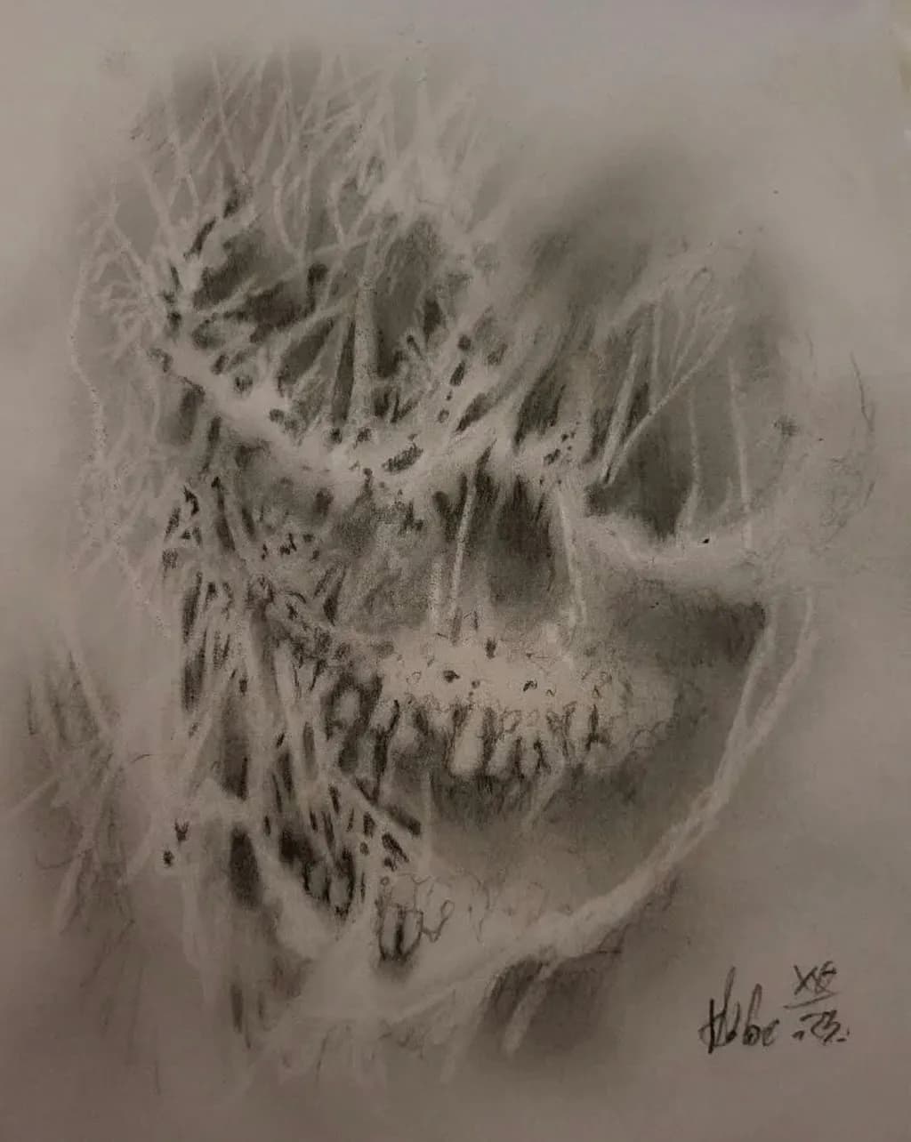 Eroded Skull