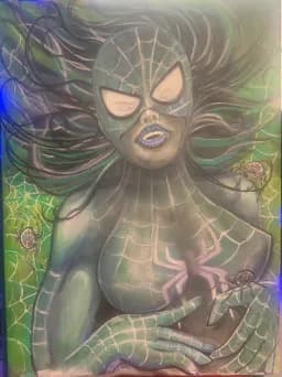 Spider Web Figure