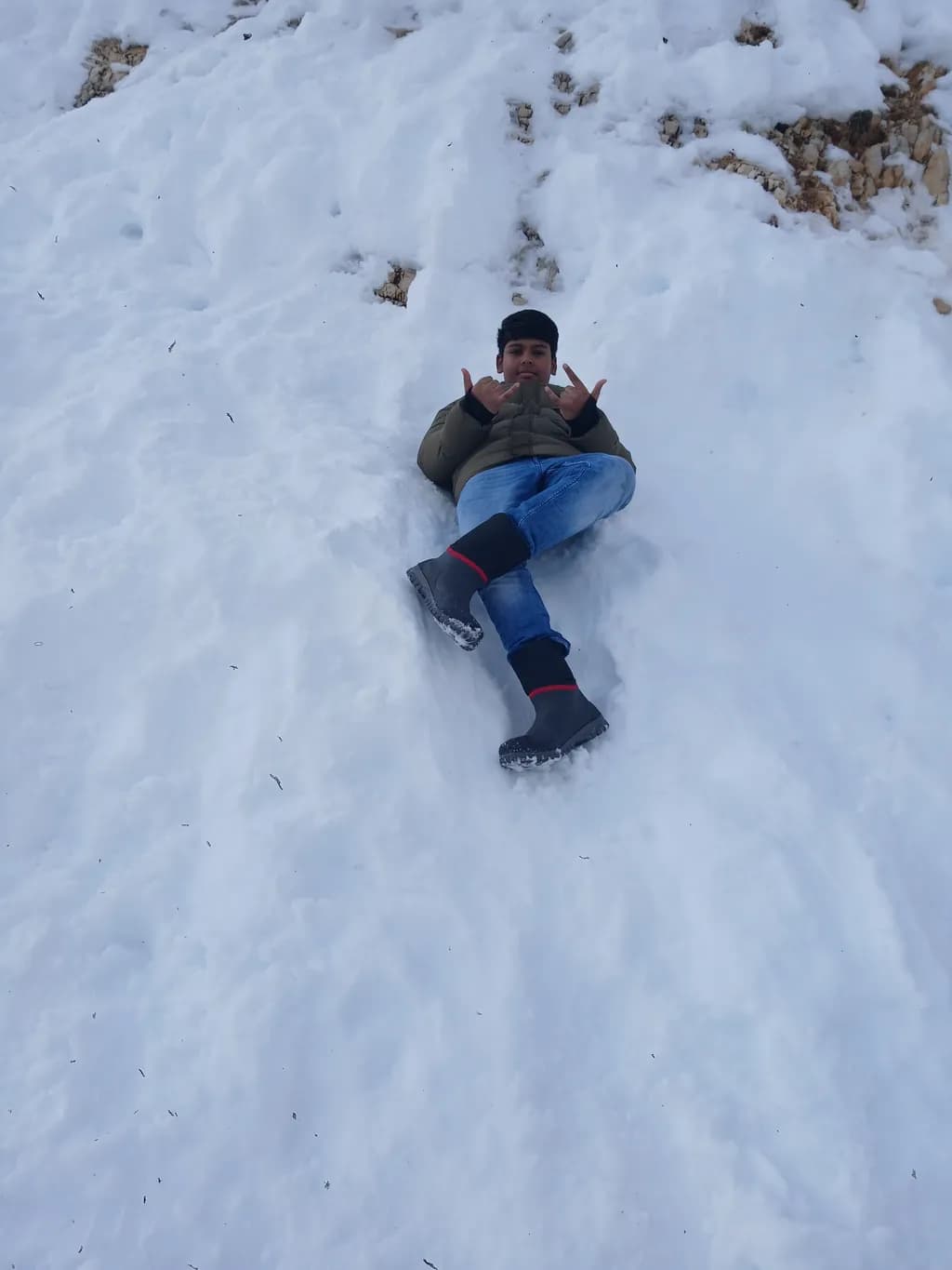 Snowy Repose