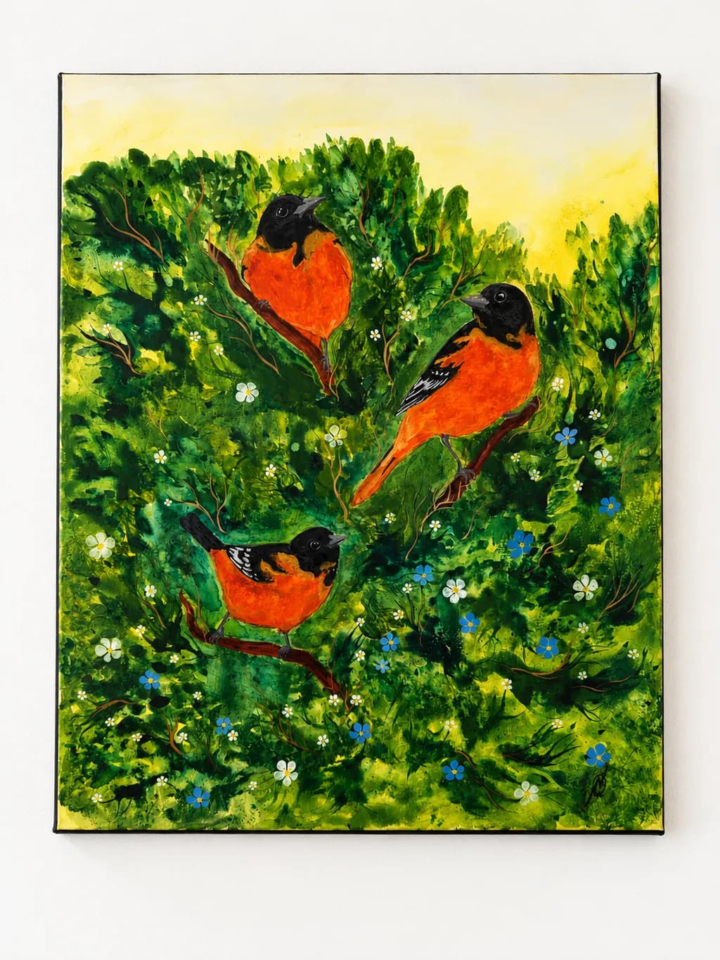 Orioles in bloom
