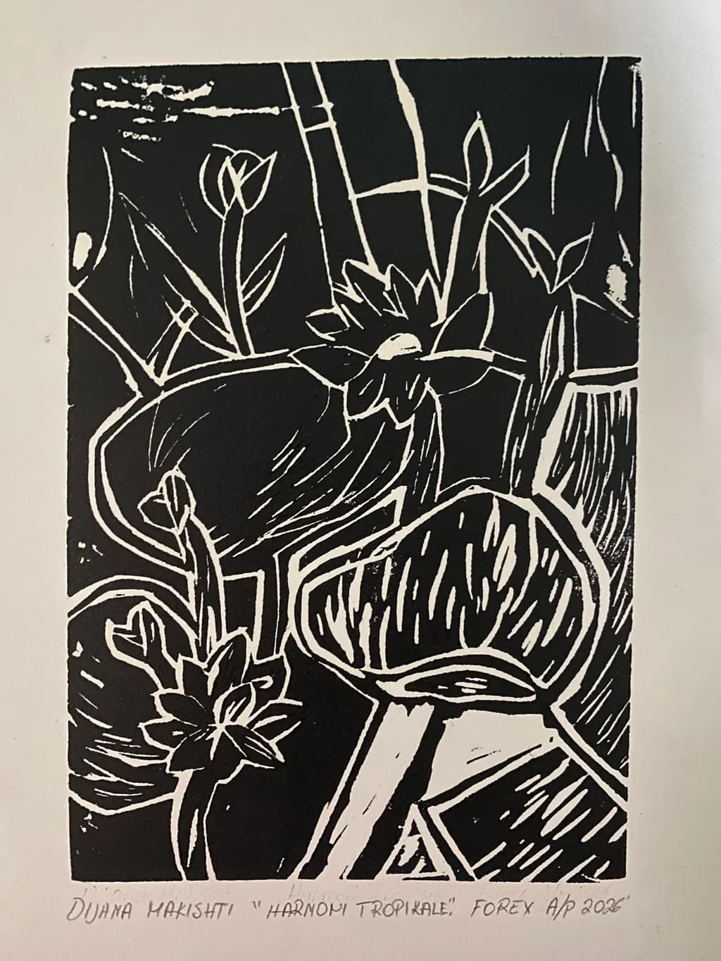 Tropical Harmony