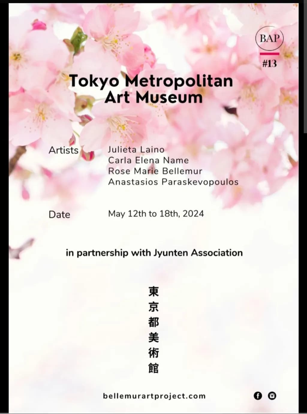 Tokyo Cherry Blossoms