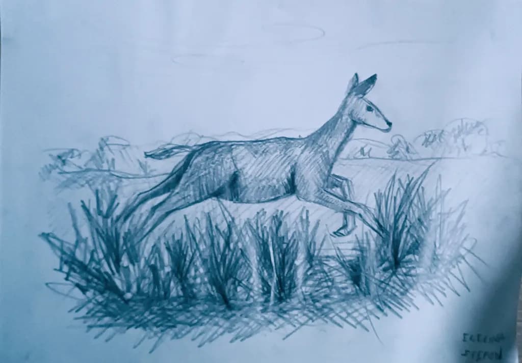 Bounding Deer