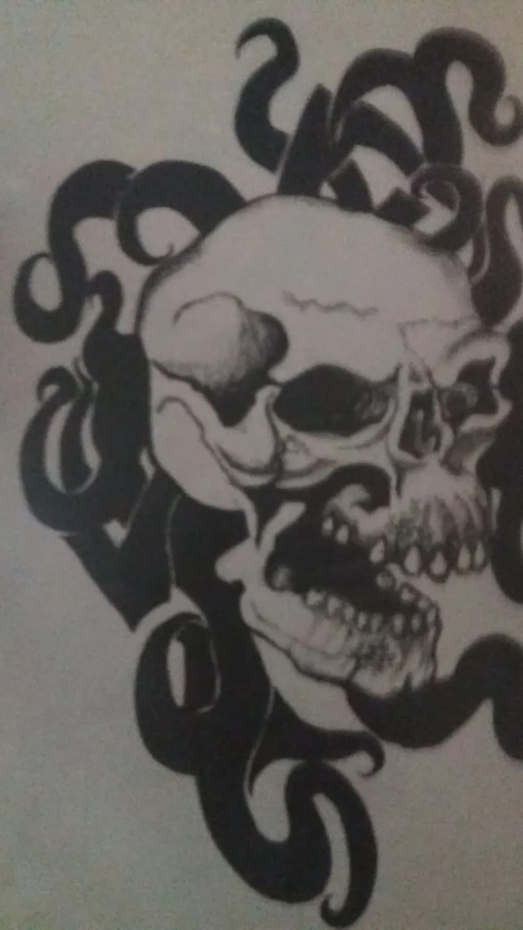 Skull with Serpents